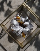 DSCF9044.JPG
