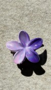 spinka-klamra-kwiat-hibiskus-kwiat-hawajski-perłowy.jpg