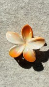 spinka-klamra-kwiat-hibiskus-kwiat-hawajski-perłowy.jpg