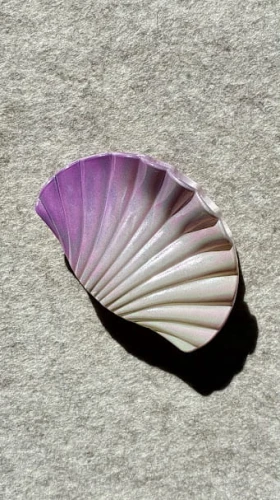 klamra-muszelka-opalizujaca.jpg