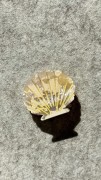 spinka-klamra-muszelka-masa-perlowa.jpg