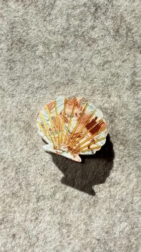 spinka-klamra-muszelka-masa-perlowa.jpg