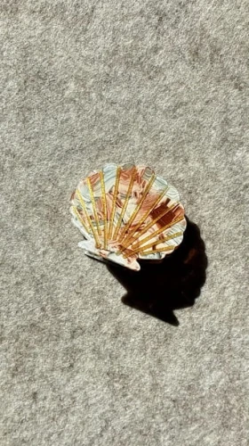 spinka-klamra-muszelka-masa-perlowa.jpg