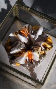 gladkie-scrunchie-jedwabne-m.jpg